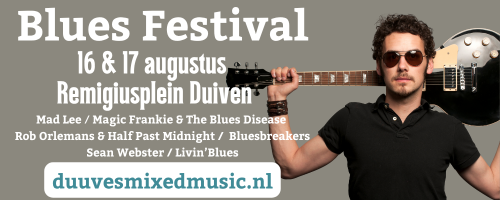 Spandoek gemeente Blues Festival 5
